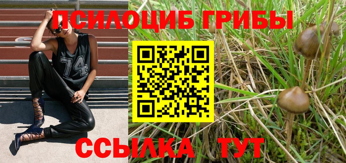 Псилоцибиновые грибы Magic Shrooms Гуково