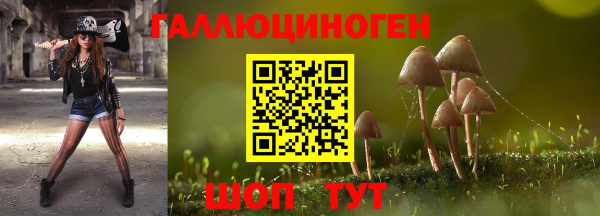 Галлюциногенные грибы мухоморы  Вход с VPN  Гуково 